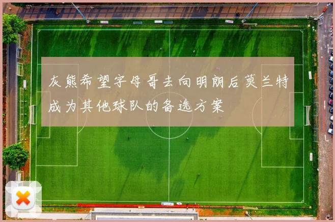 灰熊希望字母哥去向明朗后莫兰特成为其他球队的备选方案